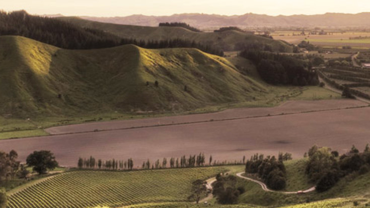 Harvest 2017: New Zealand