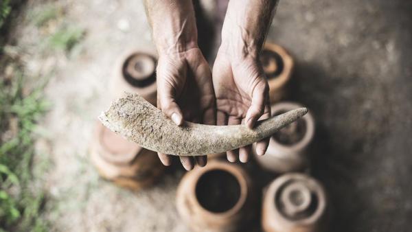 Biodynamics - just a load of manure?