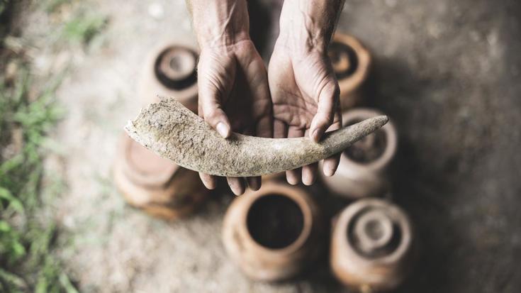 Biodynamics - just a load of manure?