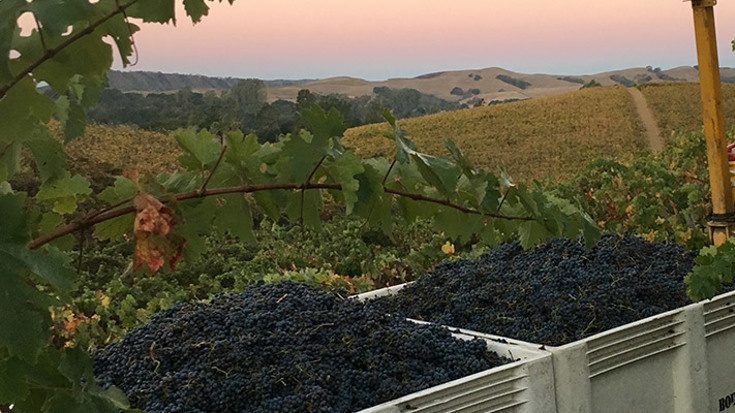 Harvest 2017: USA and Canada