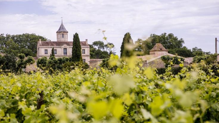 New wines from the Old World for Autumn 2017