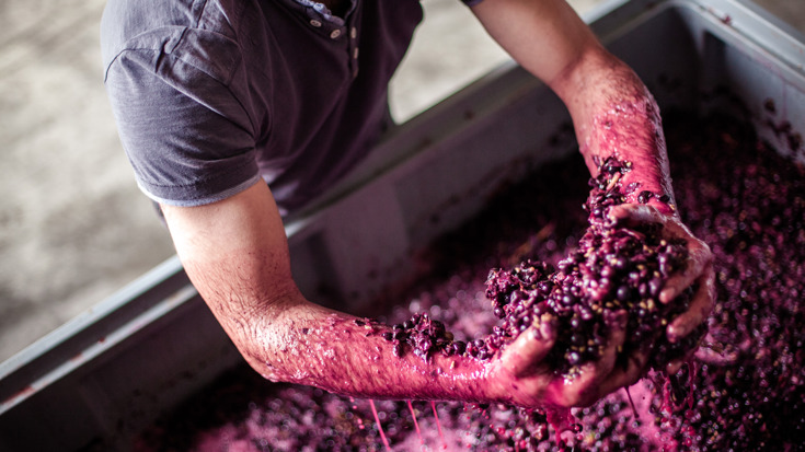 The rise of reds and Riesling: new-wave wines from Germany