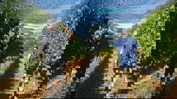 Harvest 2017: Australia