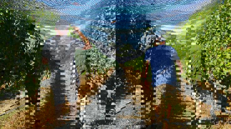 Harvest 2017: Australia