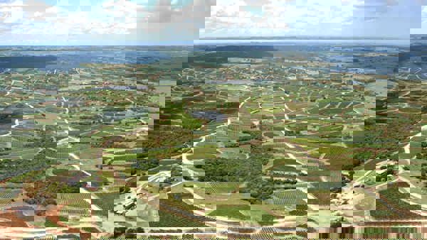 Episode 25 - Christian Wylie (Bodega Garzon)