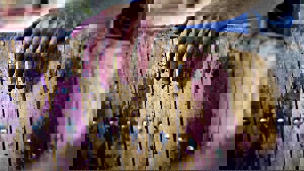 Episode 22 - Glenn Goodall (Xanadu)