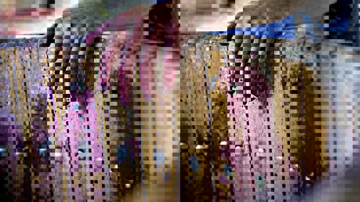 Episode 22 - Glenn Goodall (Xanadu)