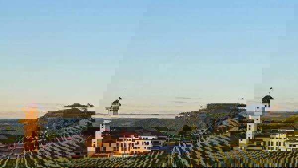 Episode 7 – Julio Cesar Kunz (Miolo)