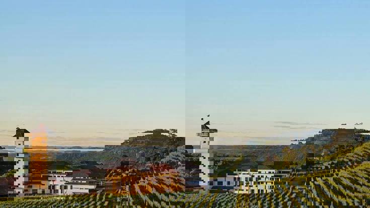 Episode 7 – Julio Cesar Kunz (Miolo)