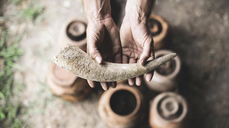 Episode 2 - Biodynamic wine