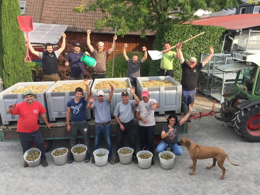 The team at Weingut Kopp