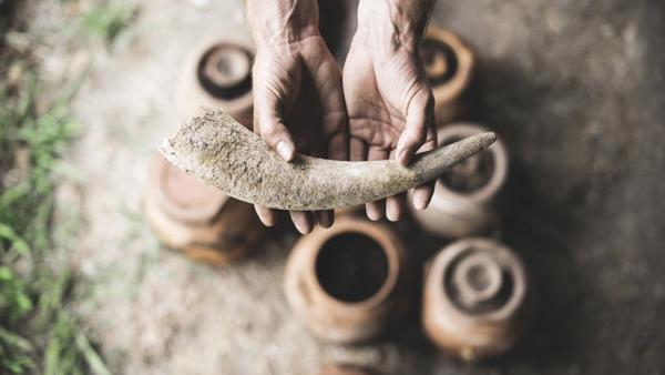 What is biodynamic wine?