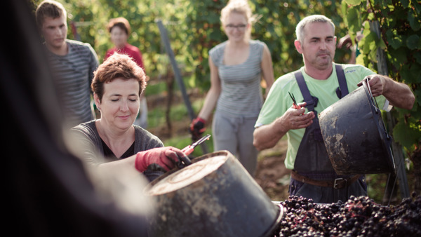 There's more to Germany than Riesling