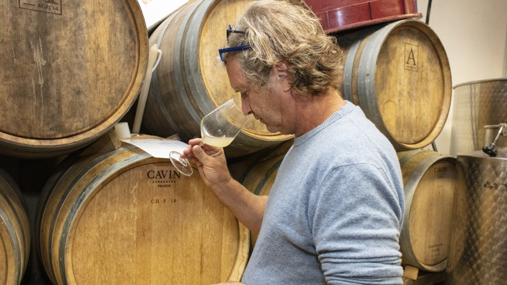 The new wines you'll love: Bibendum's class of 2020