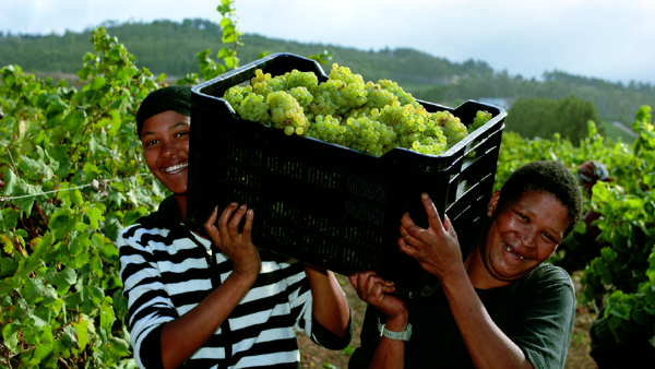 Fairtrade Fortnight: Meet our Fairtrade producers