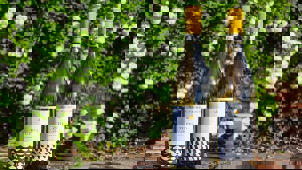 Ten minutes with Morgassi Superiore