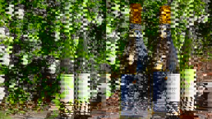 Ten minutes with Morgassi Superiore