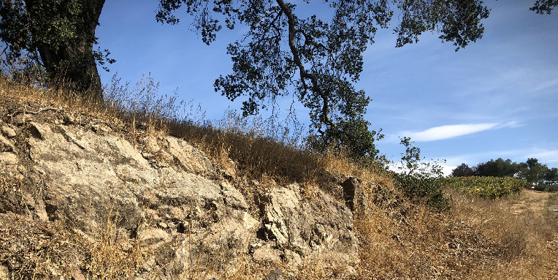 Volcanic soil at Truchard