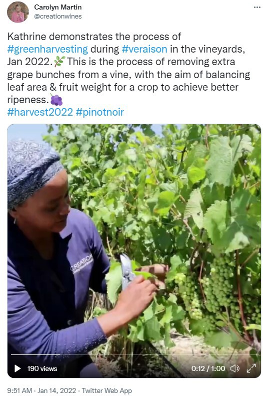 Creation green harvesting