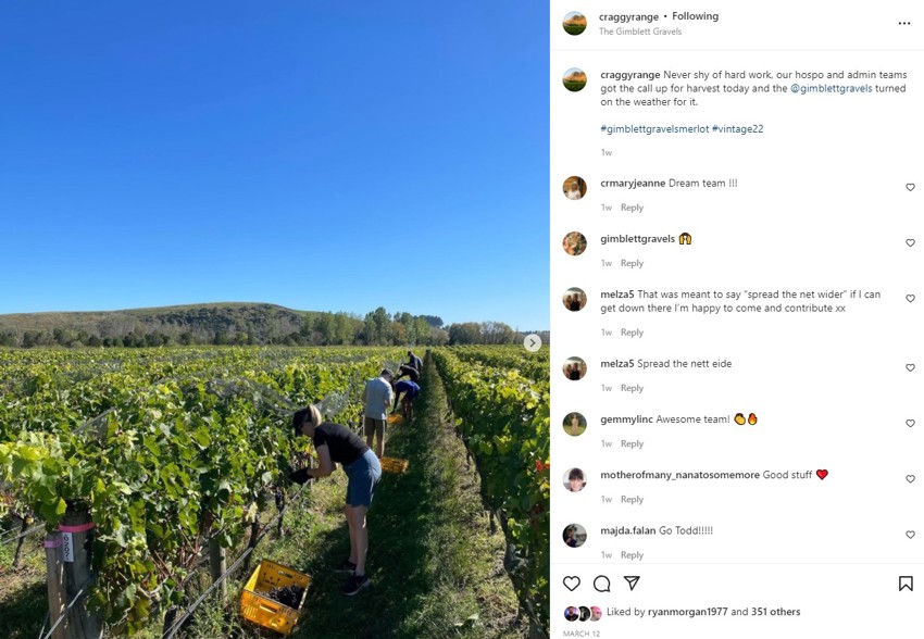 Craggy range harvest