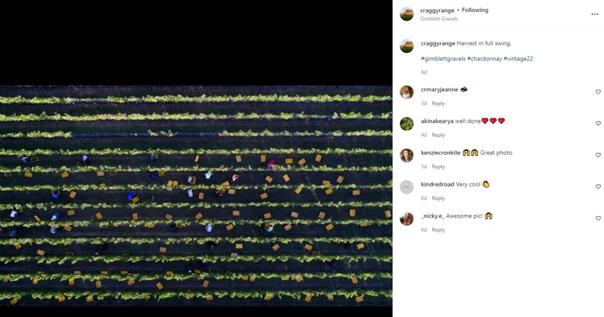 Craggy range harvest