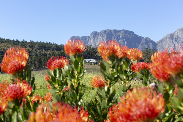 Journeys end vineyard